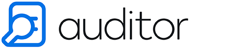 securly auditor